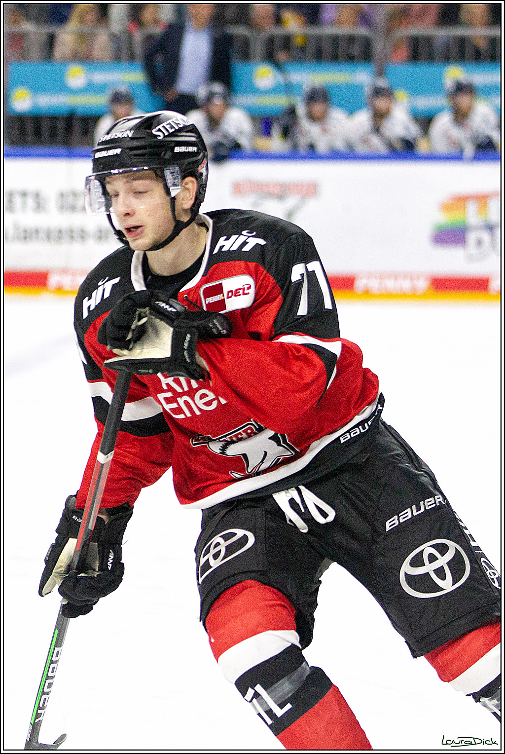 PENNY DEL;  Koelner Haie - Straubing Tigers; Koeln, 15.10.2021